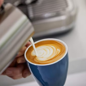 Sage the Barista Express Siebträgermaschine Edelstahl